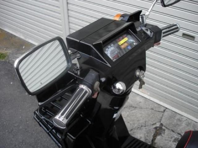 �W���C���p�J�X�^�����b�L�O���b�v�E�X�g���C�v �� ������/�o�C�N