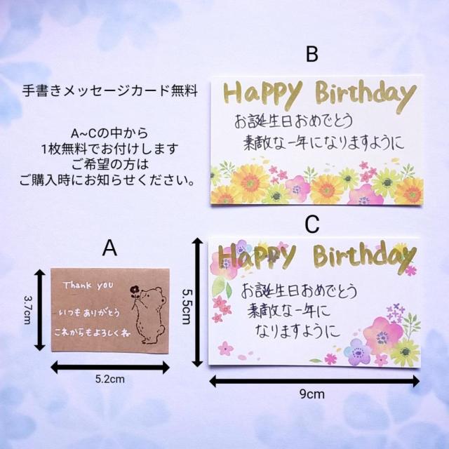 �������� �������F���Q�̋P�� �΃A�����M�[ �T�[�W�J���X�e�����X �O���[���u���[ ���A�T�i�C�g �s�A�X�i5mm �� �����A�N�Z�T���[/���v�� 