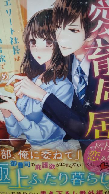 愛育同居〜エリート社長は年下妻を独占欲で★藍里まめ★ベリーズ文庫 < 本/雑誌 愛育同居〜エリート社長は年下妻を独占欲で★藍里まめ★ベリーズ文庫 < 本/雑誌の