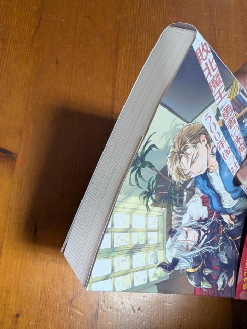 小説 BL 敗北魔王、勇者の末裔と500年後の社会復帰 あかつき雨垂 < 本/雑誌 小説 BL 敗北魔王、勇者の末裔と500年後の社会復帰 あかつき雨垂 < 本/雑誌の