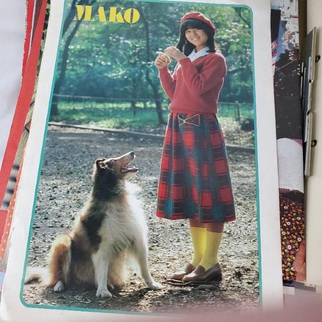 石野真子★切り抜き・ミニポスター・会報など全450点(枚)以上 < タレントグッズ  石野真子★切り抜き・ミニポスター・会報など全450点(枚)以上 < タレントグッズの