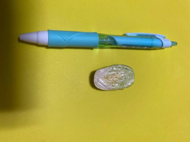 ミニチュア☆白菜1/2 < ホビー  ミニチュア☆白菜1/2  < ホビーの