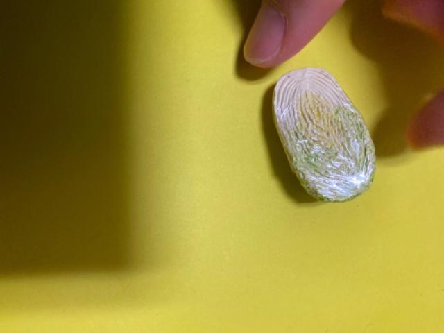 ミニチュア☆白菜1/2 < ホビー  ミニチュア☆白菜1/2 < ホビーの