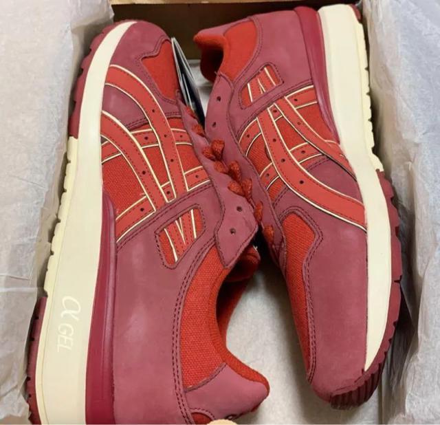 ASICS GT-II Highs and Lows Brick US10.5  uh 
