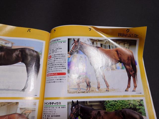 週刊Gallop 2005年7月31日号 / 週刊ギャロップ 表紙 ディープインパクト 競馬 < 本/雑誌 週刊Gallop 2005年7月31日号 / 週刊ギャロップ 表紙 ディープインパクト 競馬 < 本/雑誌の