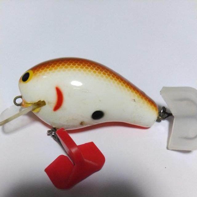 6クランクベイトバグリーB2 < レジャー/スポーツ  6クランクベイトバグリーB2  < レジャー/スポーツの