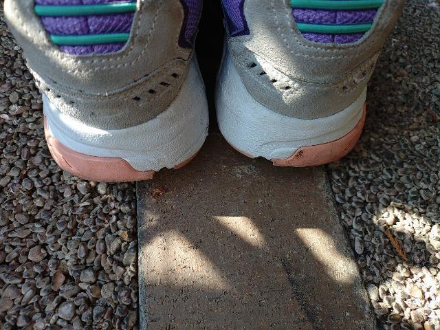 SKECHERS SPORT スニーカー 24.5cm ジョギング ウォーキング 部活 ハイキング 学校 体育 < 女性ファッション SKECHERS SPORT スニーカー 24.5cm ジョギング ウォーキング 部活 ハイキング 学校 体育 < 女性ファッションの