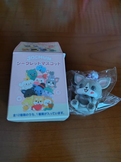 JOCHUM(�W�F�I�`����) �V�[�N���b�g�}�X�R�b�g�y�`�������z �� ��������� 