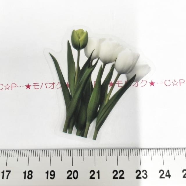 �`���[���b�v�̃R���[�W���V�[���@335  �� �C���e���A/���C�t�� 