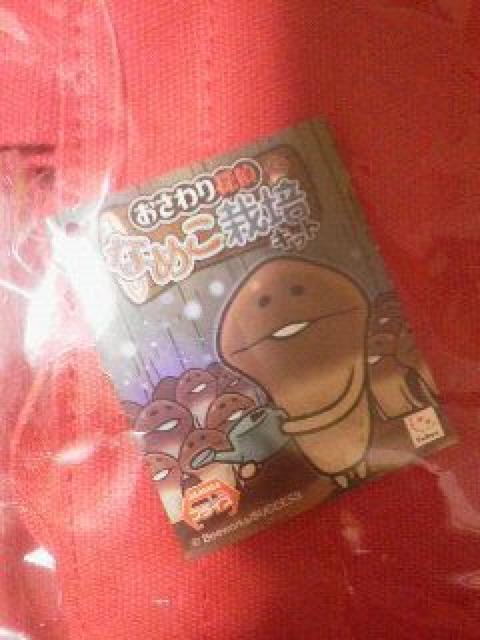 新品〓なめこ栽培キット★トートバッグ♪レッド < アニメ/コミック/キャラクター  新品〓なめこ栽培キット★トートバッグ♪レッド < アニメ/コミック/キャラクターの