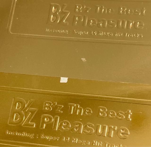 B'zxXgCD2TreasurePleasure