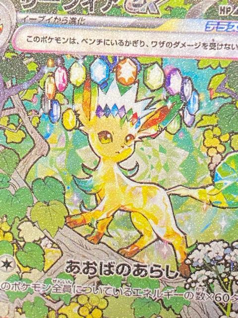 �y���i�z���[�t�B�Aex SAR sv8a 200/187 �e���X�^���t�F�X �|�P�J ���� �� �g���[�f�B���O�J�[�h�� 