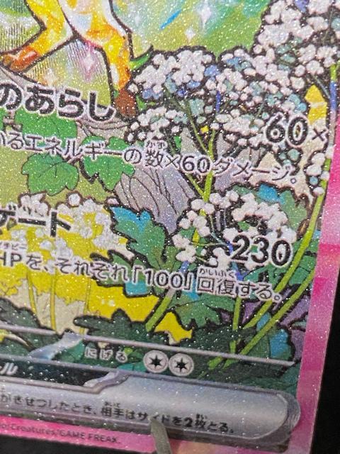 �y���i�z���[�t�B�Aex SAR sv8a 200/187 �e���X�^���t�F�X �|�P�J ���� �� �g���[�f�B���O�J�[�h�� 