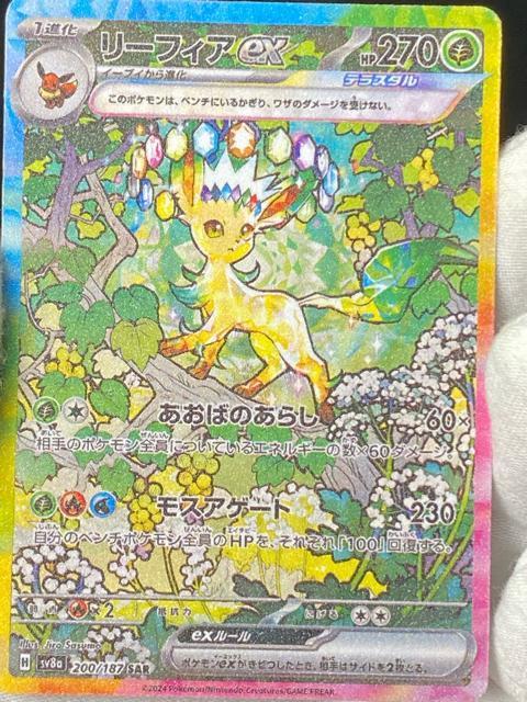 �y���i�z���[�t�B�Aex SAR sv8a 200/187 �e���X�^���t�F�X �|�P�J ���� �� �g���[�f�B���O�J�[�h�� 