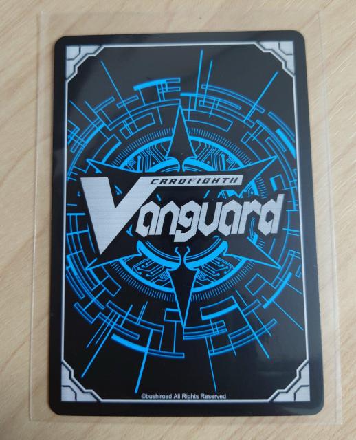 @K[h m[} ڂς̉̏ R G-CB07/042 C 702