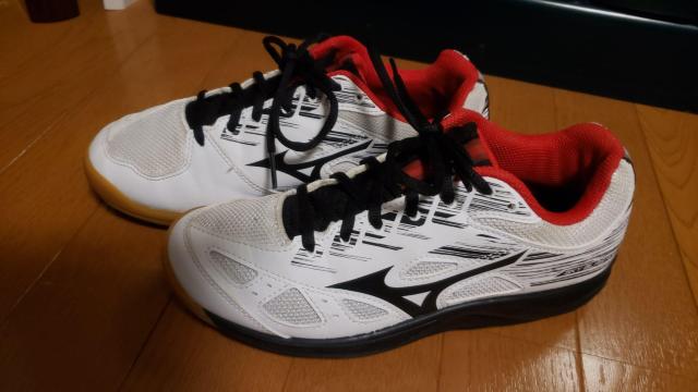 ☆新品同様試し履きのみ☆ミズノ スカイブラスター2☆バドミントンシューズ☆24p < レジャー/スポーツ ☆新品同様試し履きのみ☆ミズノ スカイブラスター2☆バドミントンシューズ☆24p < レジャー/スポーツの