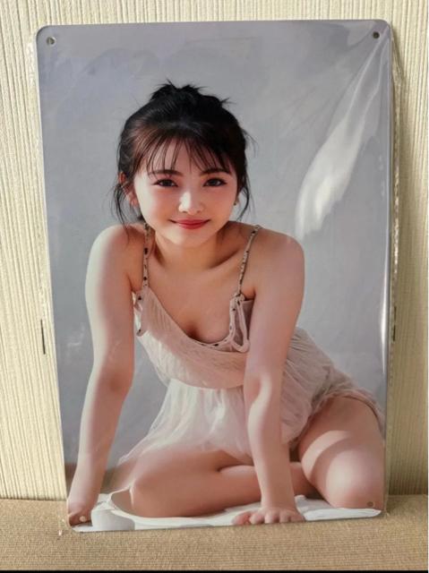 �V�i�@�u���L�Ŕ� �� �z�r�[�� 