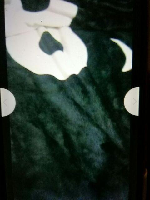 クまモんハーフサイズ100×140p < ホビー  クまモんハーフサイズ100×140p < ホビーの