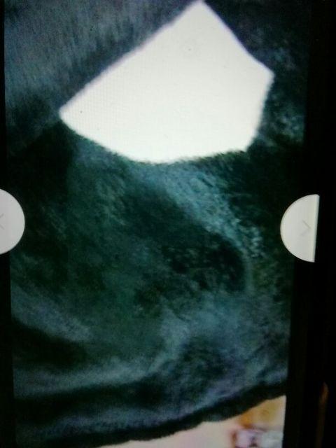 クまモんハーフサイズ100×140p < ホビー  クまモんハーフサイズ100×140p < ホビーの