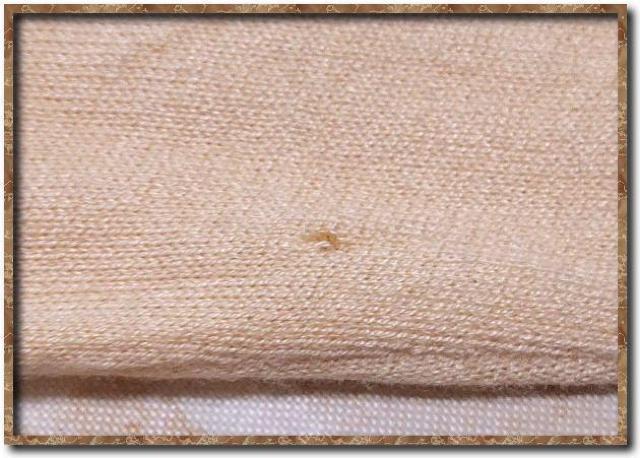 tFD@[XtؑփJ[fBK@x[W  uh 