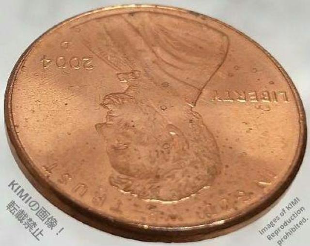1セント硬貨 2004 D アメリカ リンカーン 1ペニー 貨幣 1 Cent Lincoln 1Penny coin 2004D < ホビー  1セント硬貨 2004 D アメリカ リンカーン 1ペニー 貨幣 1 Cent Lincoln 1Penny coin 2004D < ホビーの