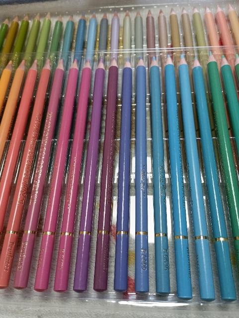 色えんぴつ50本セット、未使用品 < インテリア/ライフ 色えんぴつ50本セット、未使用品 < インテリア/ライフの