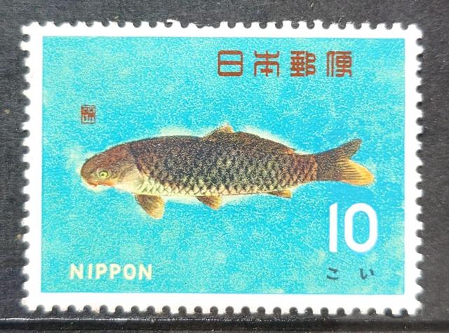 日本郵便 日本の切手 未使用切手 記念切手 魚介シリーズ 1966年 2月 コイ 鯉 こい 額面10円 < ホビー 日本郵便 日本の切手 未使用切手 記念切手 魚介シリーズ 1966年 2月 コイ 鯉 こい 額面10円 < ホビーの