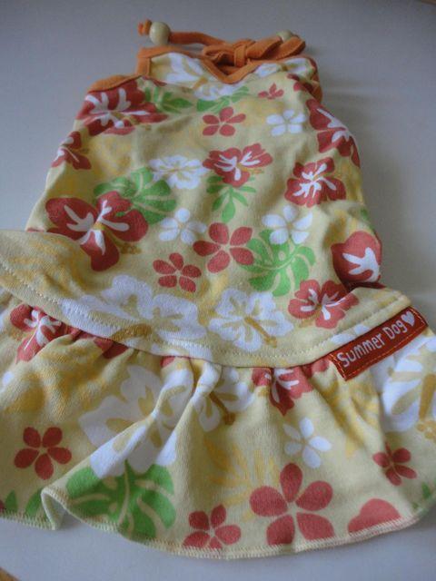 t̂킢DOGsyz   ybg/|/| 