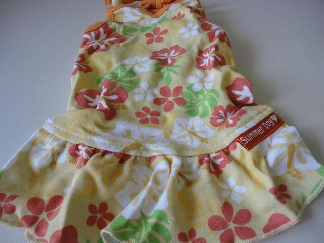 t̂킢DOGsyz  ybg/|/| 