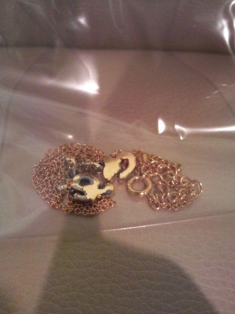 貴重EXILE ライブツアー2007 エボリューション!HIRO プロデュース!ネックレス 難アリ < タレントグッズ 貴重EXILE ライブツアー2007 エボリューション!HIRO プロデュース!ネックレス 難アリ < タレントグッズの