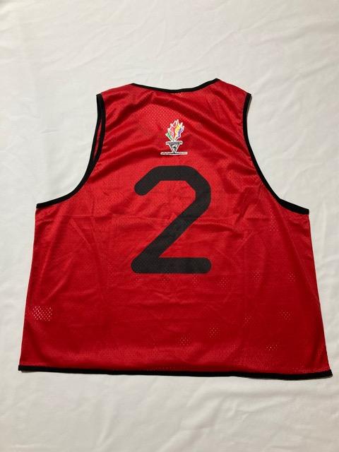 ももいろクローバーz 百田夏菜子 ベスト ビブス レッド コンサート メッシュ 2 < タレントグッズ  ももいろクローバーz 百田夏菜子 ベスト ビブス レッド コンサート メッシュ 2 < タレントグッズの