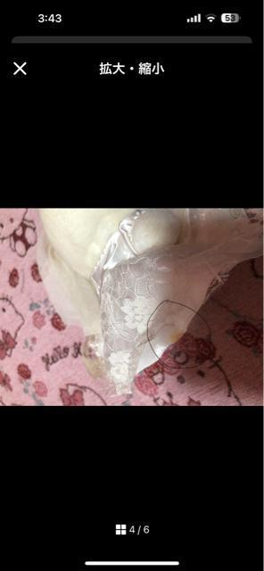 ジャンク扱い★激レア中古★ごきげんハローキティ ウエディング ぬいぐるみ長期自宅保管 < おもちゃ  ジャンク扱い★激レア中古★ごきげんハローキティ ウエディング ぬいぐるみ長期自宅保管 < おもちゃの