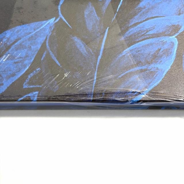 �G�����X Ferocious and Fragile book �A�j�}���u�b�N �� �u�����h�� 