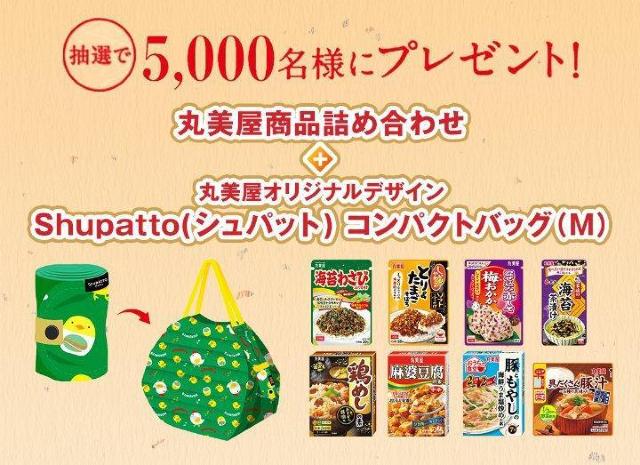 �۔������i�l�ߍ��킹+Shupatto�R���p�b�g�o�b�O 5000���ɓ�����2����  �� �`�P�b�g/������ 