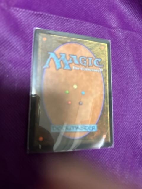 MTG セラの聖域 < トレーディングカード MTG セラの聖域 < トレーディングカードの