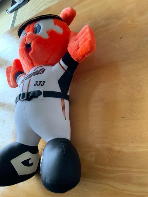 ǔWCAcuWrbgNvʂ  W[/X|[c 