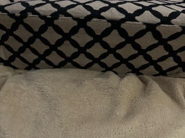 H&Mg[gobN@Bag   t@bV 