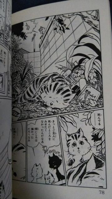 ★トラジマのミーめ★プリンセスコミックス、松本零士 < アニメ/コミック/キャラクター  ★トラジマのミーめ★プリンセスコミックス、松本零士 < アニメ/コミック/キャラクターの