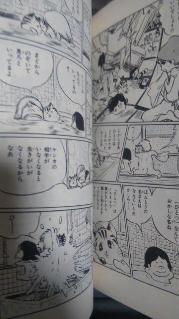 ★トラジマのミーめ★プリンセスコミックス、松本零士 < アニメ/コミック/キャラクター  ★トラジマのミーめ★プリンセスコミックス、松本零士 < アニメ/コミック/キャラクターの