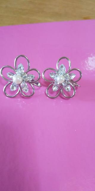 �C�������O�i�p�[�����j  �� �����A�N�Z�T���[/���v�� 