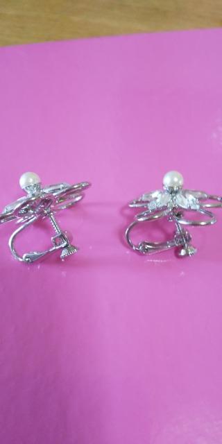 �C�������O�i�p�[�����j �� �����A�N�Z�T���[/���v�� 