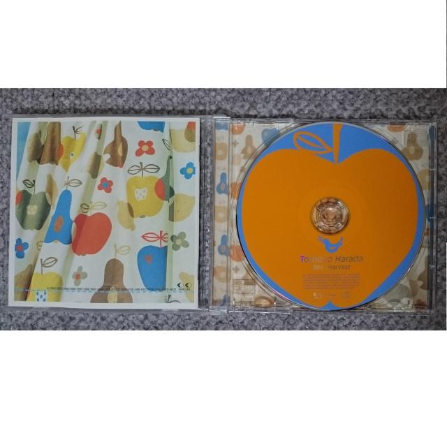 KF@@cm@@BEST HARVEST@@xXgn[xXg  ^gObY 