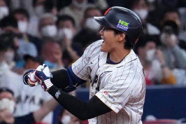 【送料無料】野球 大谷翔平厳選写真フォトL判10枚セット D < タレントグッズ  【送料無料】野球 大谷翔平厳選写真フォトL判10枚セット D < タレントグッズの