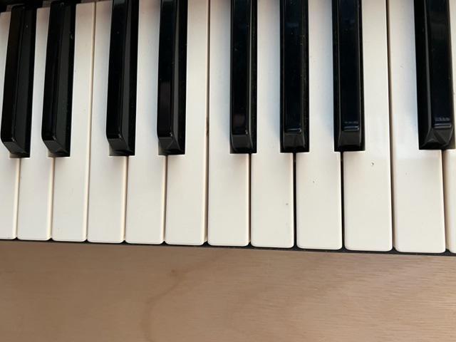 YAMAHA W7 Version2 WEMB03付属 中古品 < ホビー  YAMAHA W7 Version2 WEMB03付属 中古品 < ホビーの