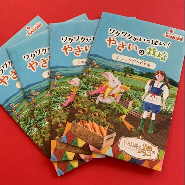 ミニにんじんの種 4袋 < ペット/手芸/園芸  ミニにんじんの種 4袋  < ペット/手芸/園芸の