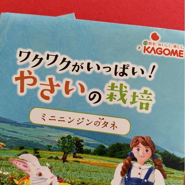 ミニにんじんの種 4袋 < ペット/手芸/園芸  ミニにんじんの種 4袋 < ペット/手芸/園芸の