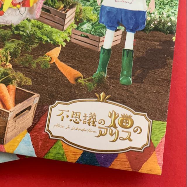 ミニにんじんの種 4袋 < ペット/手芸/園芸  ミニにんじんの種 4袋 < ペット/手芸/園芸の