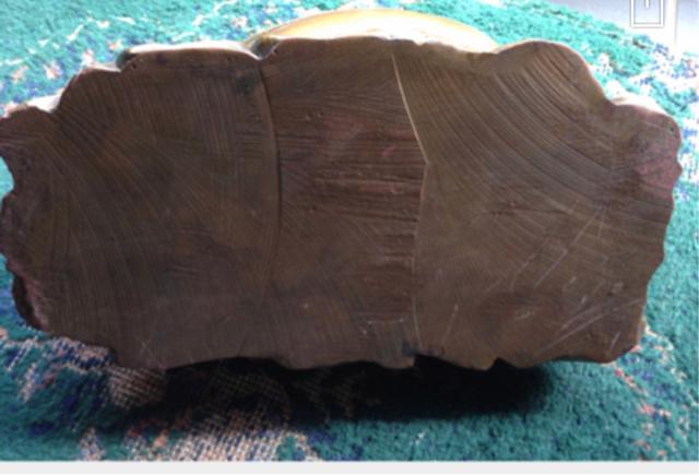 AWA u_l@蕨@eCXv[  CeA/Ct 