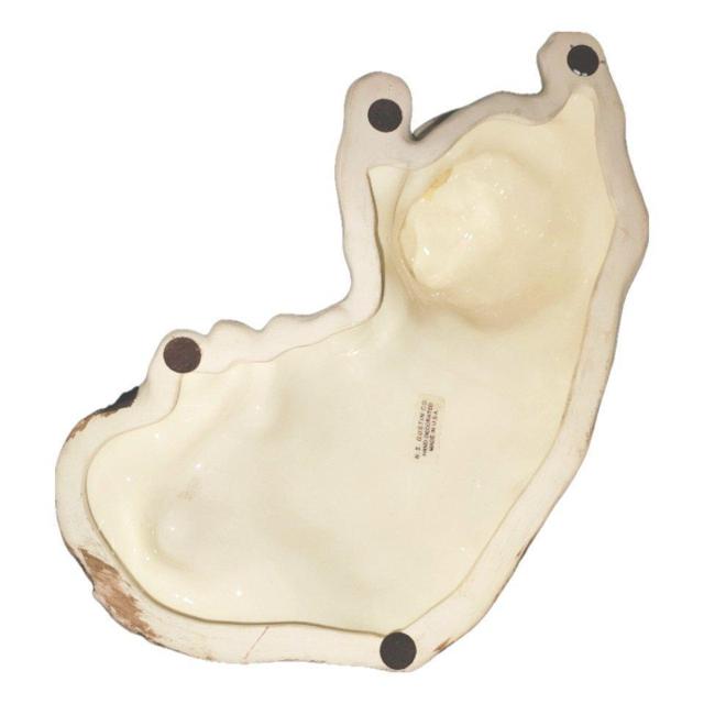 �L �u�� ���A 1970�N�� N.S. GUSTIN CO. USA�� �r���e�[�W ���� �t�B�M���A �t�B�M������ �l�R �˂� �� �C���e���A/���C�t�� 