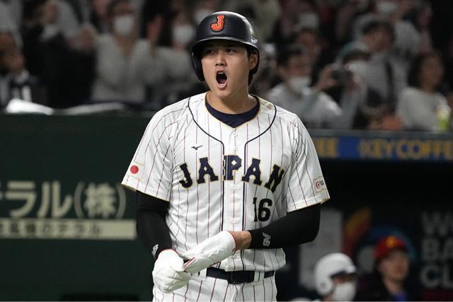 【送料無料】野球 大谷翔平厳選写真フォトL判10枚セット E < タレントグッズ  【送料無料】野球 大谷翔平厳選写真フォトL判10枚セット E < タレントグッズの